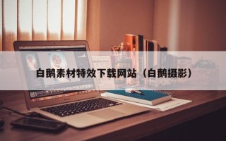 项城白鹅素材特效下载网站（白鹅摄影）